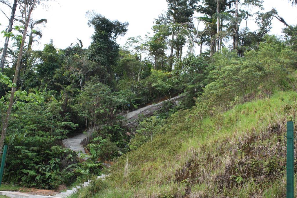 Cameron Golden Hills Resort Tanah Rata Exterior photo