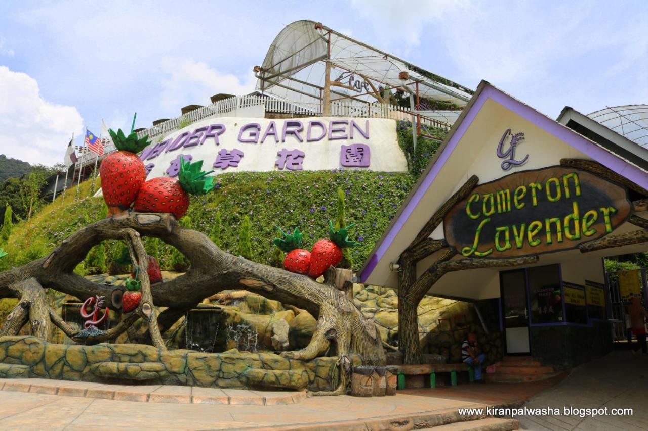 Cameron Golden Hills Resort Tanah Rata Exterior photo